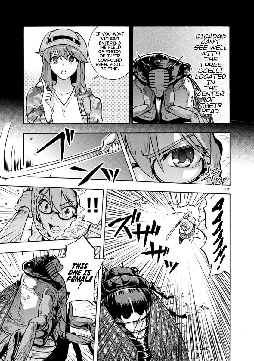 Page 17