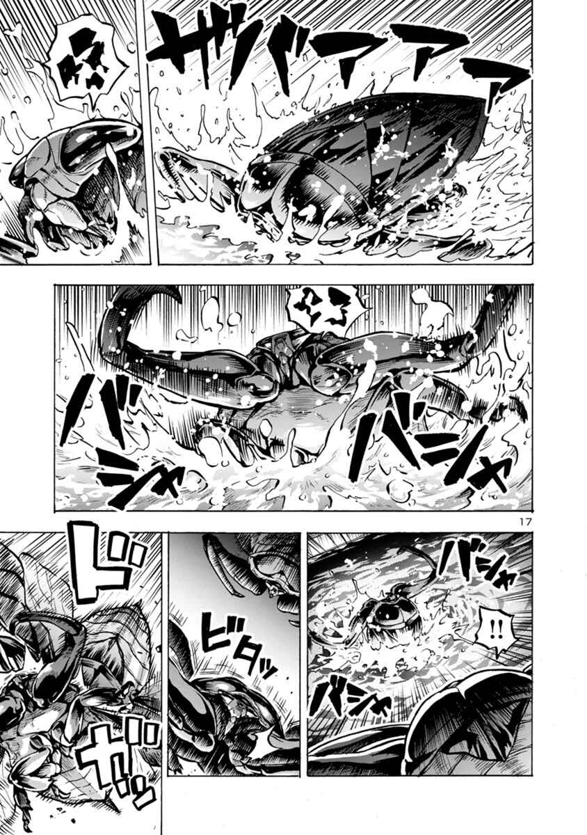Page 17