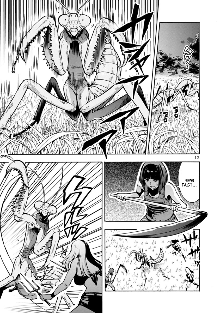 Page 13
