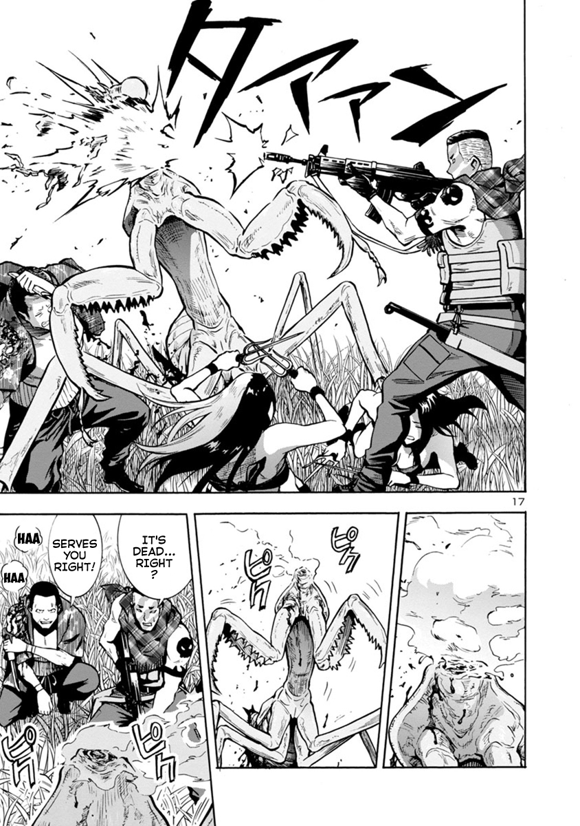 Page 17