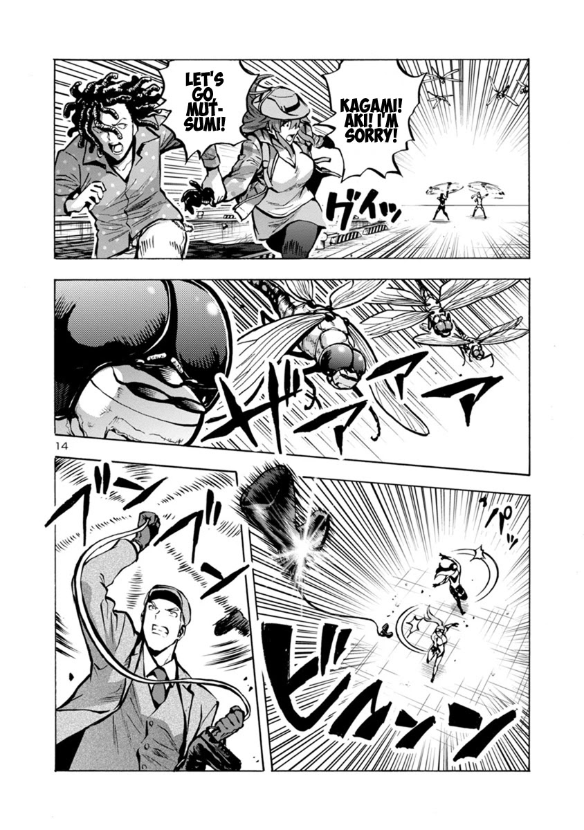 Page 14