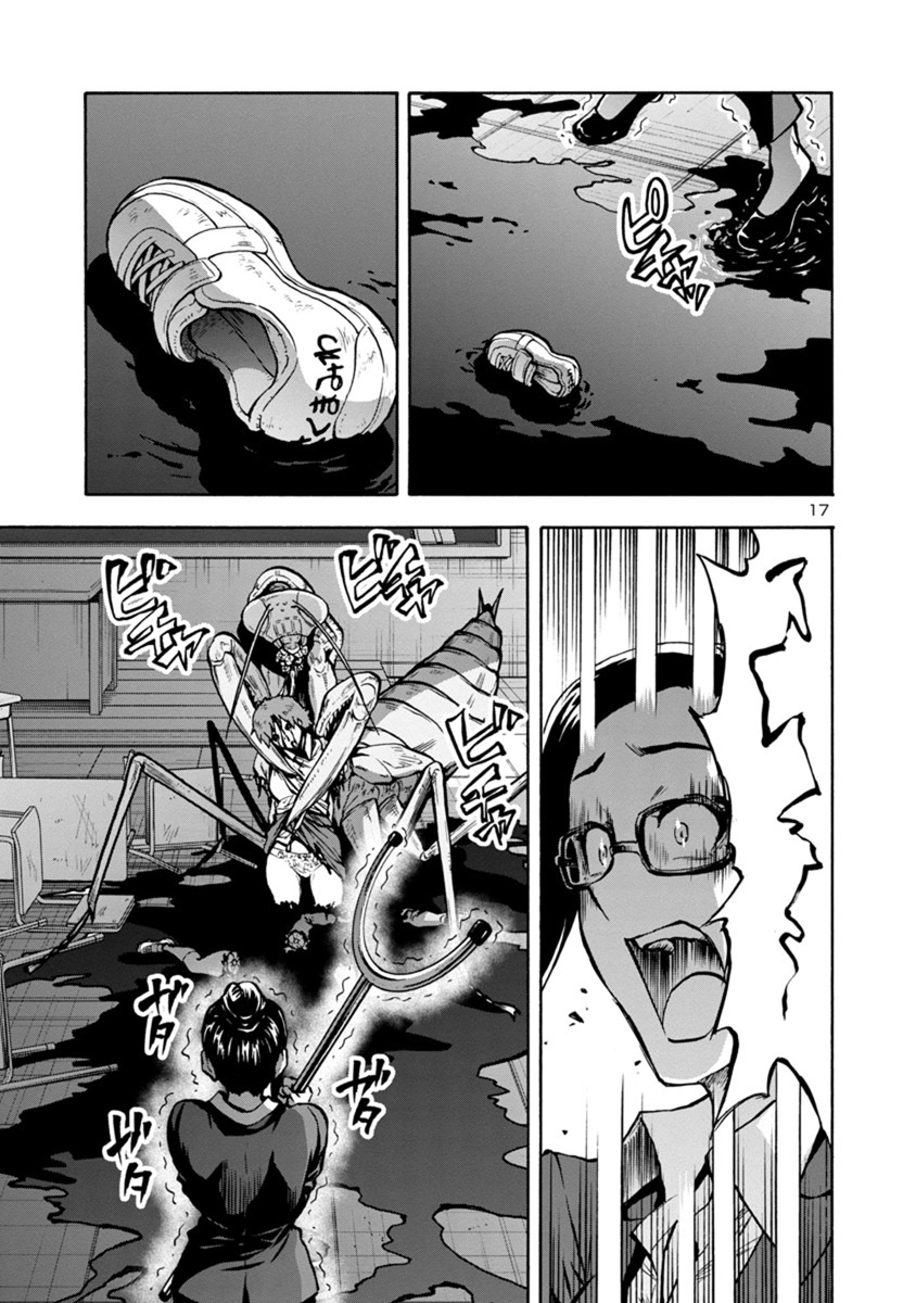 Page 17